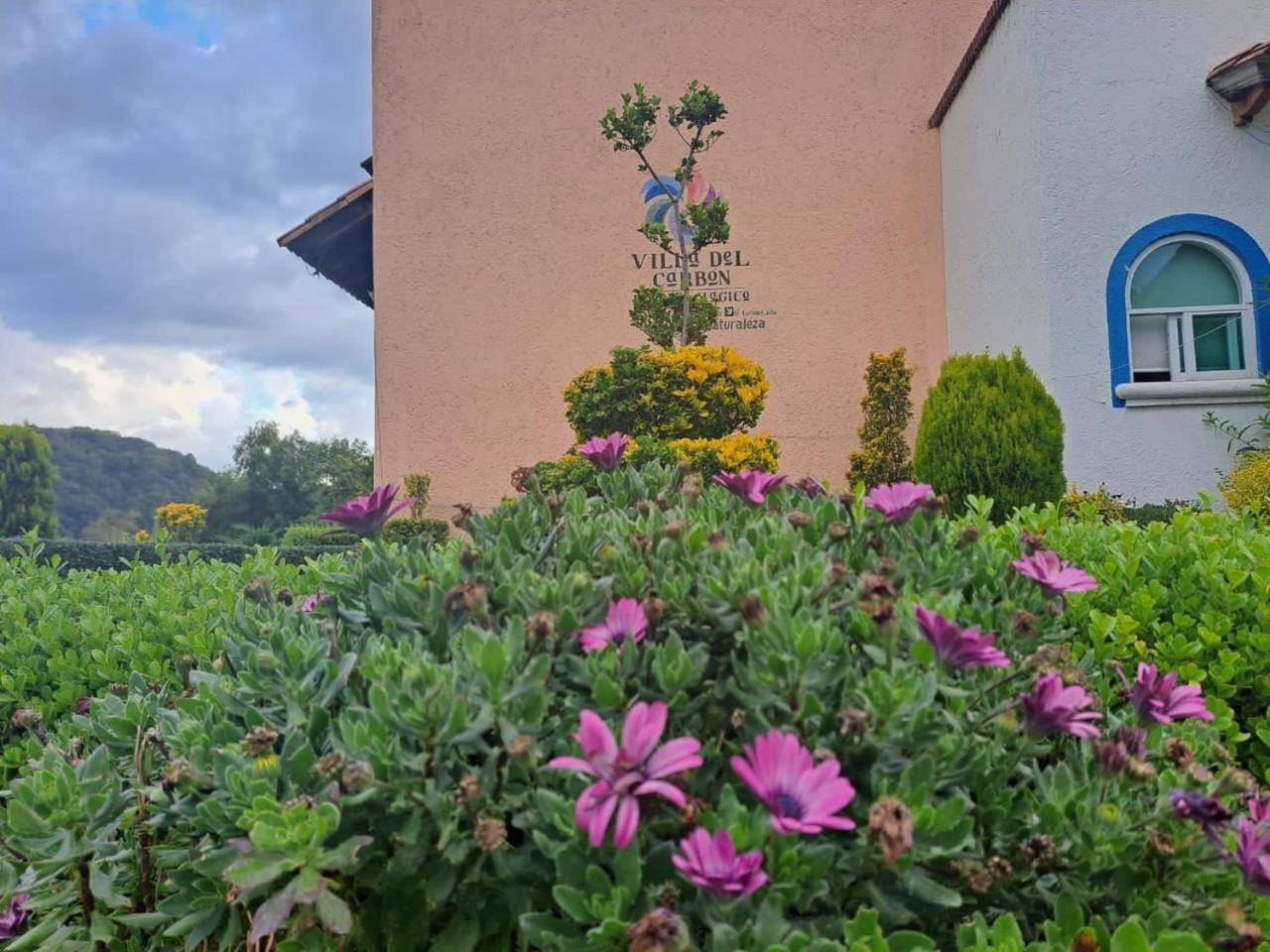 Finca San Fernando ビージャ・デル・カルボン エクステリア 写真